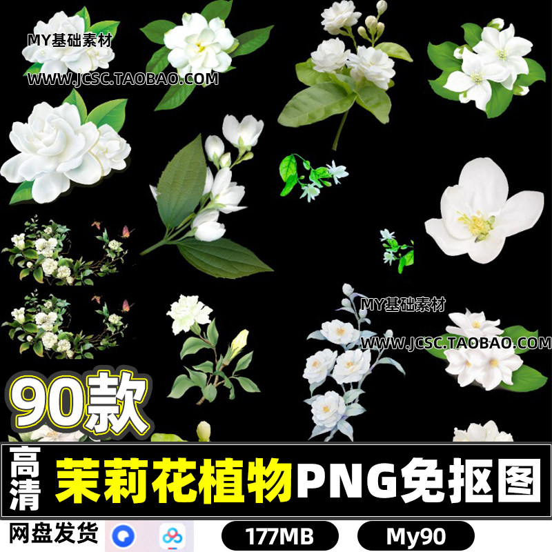 高清白色茉莉花植物鲜花花卉PN设计素材/源文件