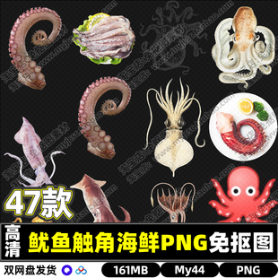 高清章鱼鱿鱼触角海鲜食物美食PNG透明免抠图片PS海报设计素材包