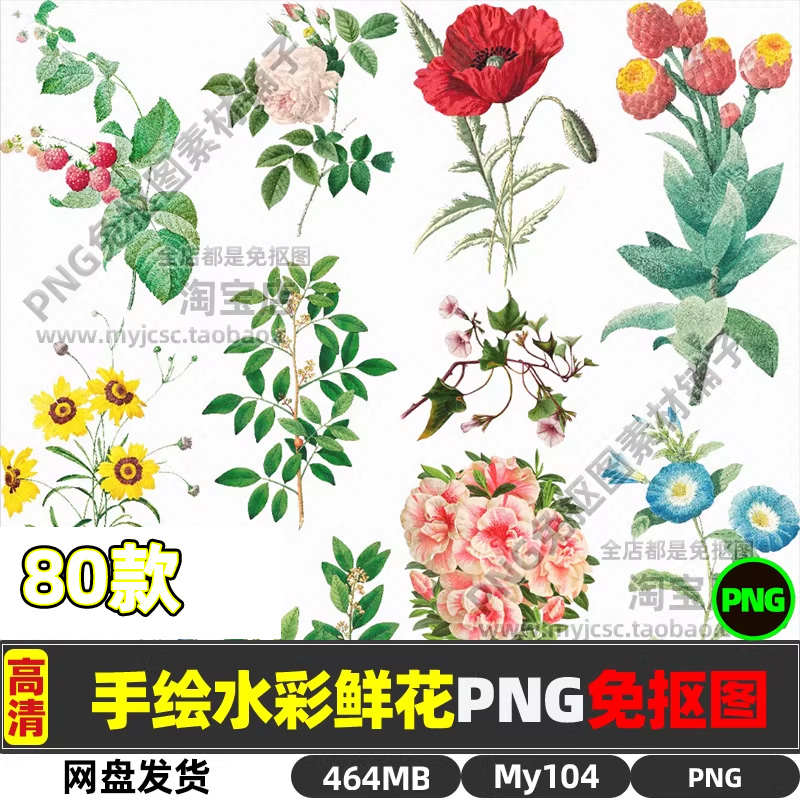 高清手绘水彩花束鲜花花卉玫瑰牵牛花PNG透明免抠图片海报素材包