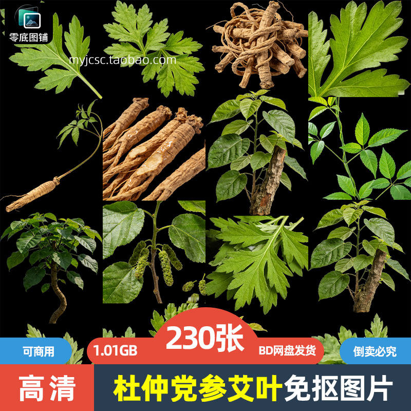 高清杜仲党参艾叶药材中药草药植物海报设计商用免抠图片打印素材
