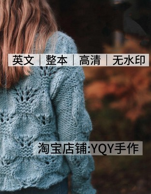 英文文字 2905 棒针编织蕾丝花样40款毛衣帽子30款电子图解教程