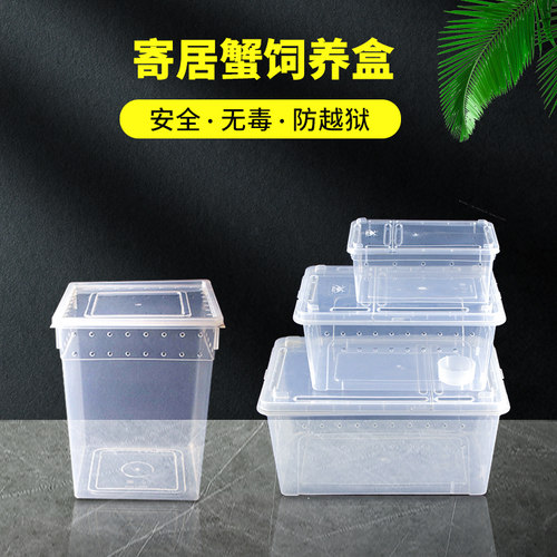 寄居蟹爬虫爬宠饲养箱乌龟冬眠