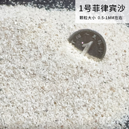 寄居蟹专用沙天然垫材