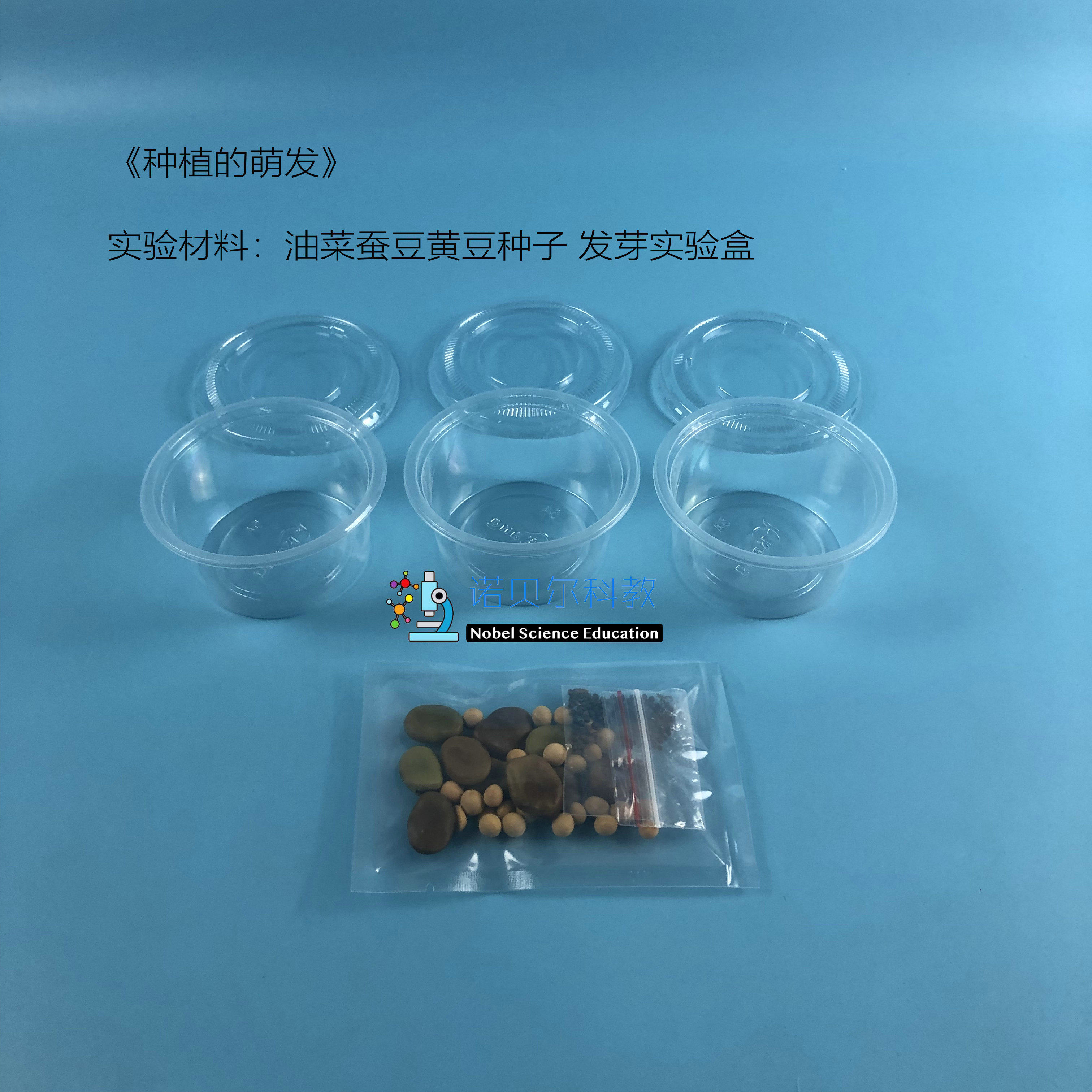 种子的萌发实验材料小学科学实验器材1套3种