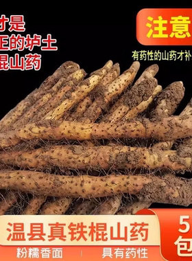 温县垆土铁棍山药正宗河南焦作新鲜生铁杆怀山淮山药特产精品软糯