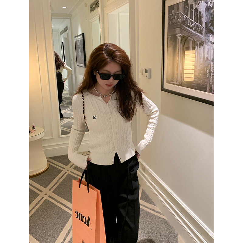 V领短款软糯刺绣针织开衫毛衣女