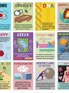 STEM科学重力原子细胞元素科普英文主题墙探究海报墙贴教室环创
