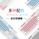 达尔优机械键盘键帽平衡杆白绿粉蓝色双拼透光EK815 EK810 EK812