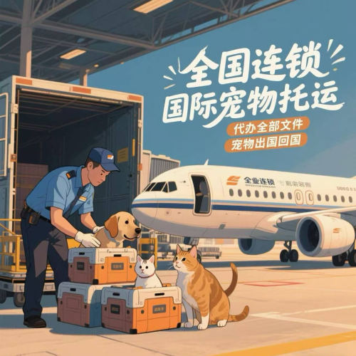 宠物托运服务全国国际证明手续
