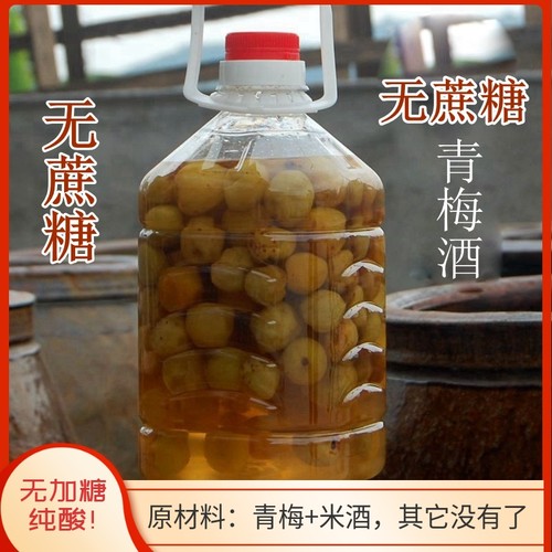 无加糖青梅酒 纯酸无甜口本味梅酒男女士养生 糖尿人控糖水果酒