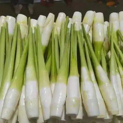 新鲜茭白现摘现发茭白新鲜蔬菜茭白主4,水产肉类/新鲜蔬果/熟食,其它,淘宝优惠券,粉丝福利购,淘宝优惠卷