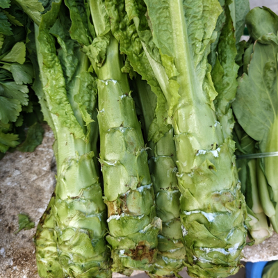 四季莴笋新鲜蔬菜莴苣正宗农家自种青莴湾