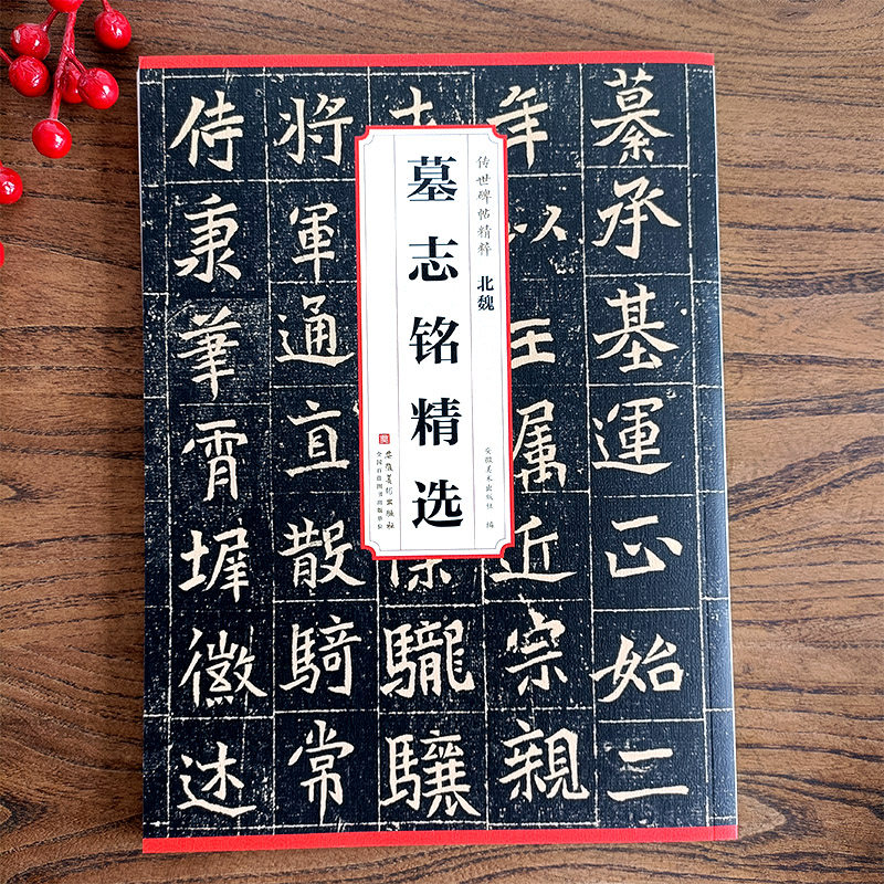 传世历代碑帖精粹 北魏墓志铭精选 毛笔书法碑帖练字帖 含元桢元显俊元演元祐元寿安元恪嫔李氏元略元文墓志铭精选 安徽美术出版社