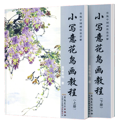 小写意花鸟画教程2册中国画技法