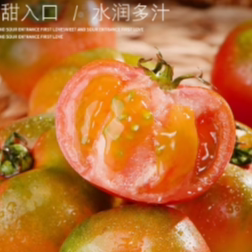 丹东铁皮柿子碱地西红柿番茄草莓西红柿农产品5斤