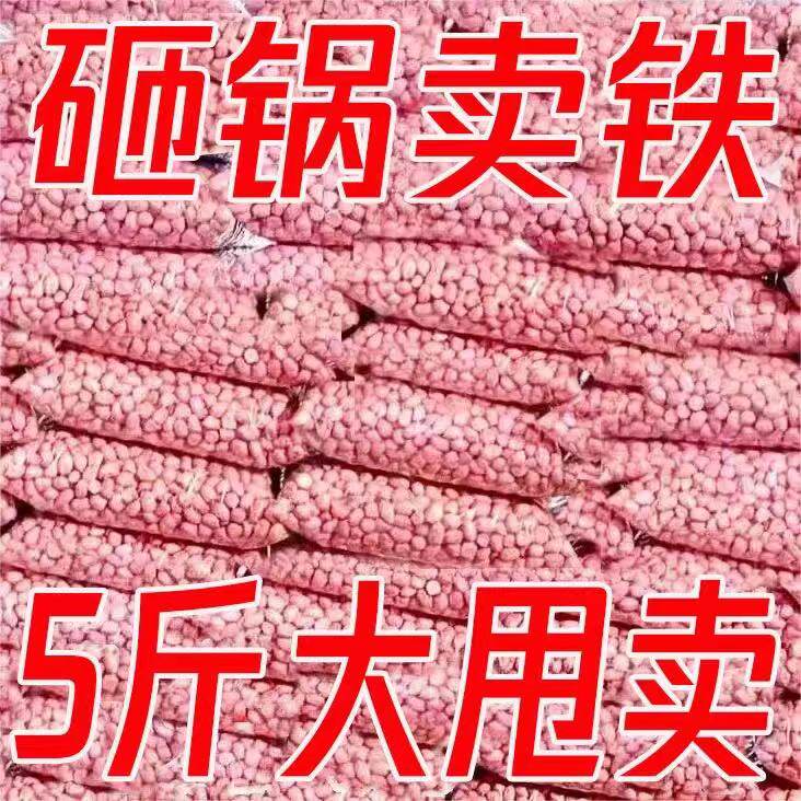 现剥新花生米生新货特级粉皮新鲜大粒花生米不带壳榨油白沙花生仁,零食/坚果/特产,花生,淘宝优惠券,粉丝福利购,淘宝优惠卷