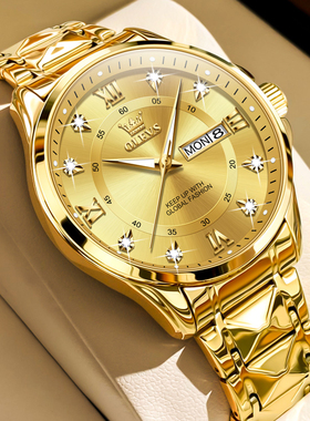 瑞士正品牌名男士手表男款机械表全自动18k金色防水电子表男十大