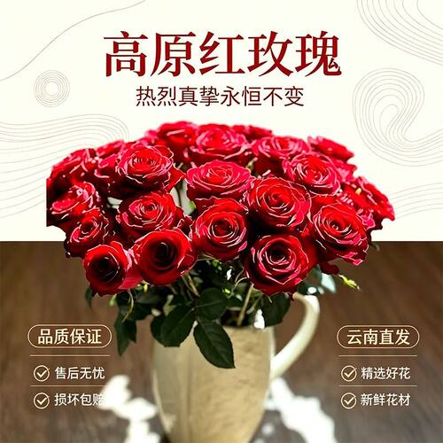 玫瑰花高原红玫瑰 云南昆明斗南基地直发 超长花期 顺丰包邮