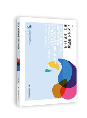 产学研协同创新形成识别与效果formation identification and effectiveness 胡雯 中国经济概况 书籍