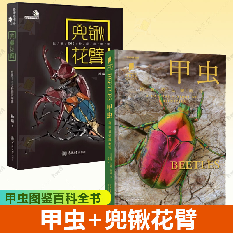 甲虫+兜锹花臂世界200种观赏甲虫 甲虫图鉴百科全书标本活体图纸上甲虫博物馆好奇心书系独角仙金龟甲虫宠物爱好者实用指南书籍