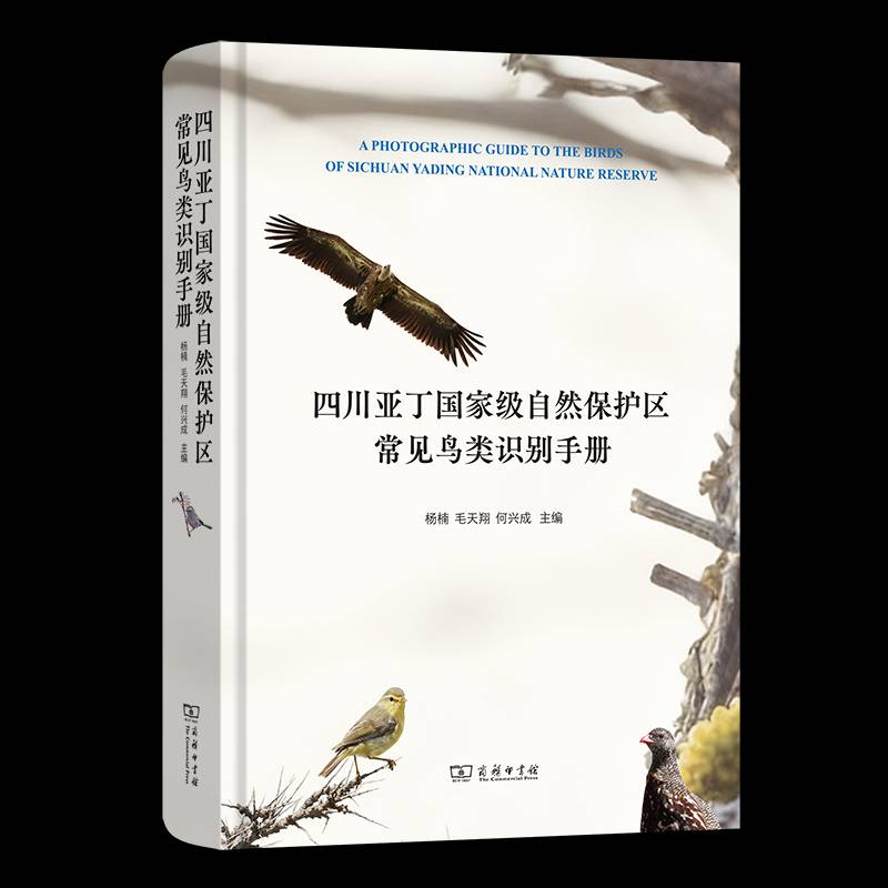 四川亚丁自然保护区常见鸟类识别手册杨楠 书籍正版商务印书馆