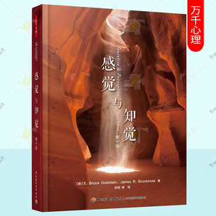 感觉与知觉 第10版 [美] E 布鲁斯 戈尔茨坦,詹姆斯 R 布洛克摩尔 著 社会科学心理学书籍 正版书籍