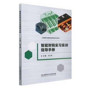 经济书籍正版 智能财税实习实训指导手册 陈文惠