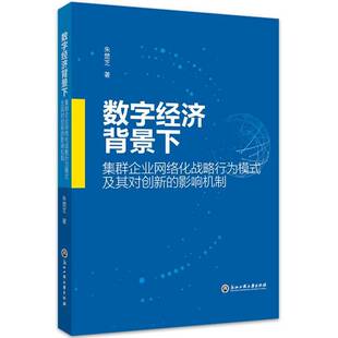 数字经济背景下集群企业网络化战略行为模式及其对创新的影响机制朱楚芝企业集群企业创新研究书籍正版浙江工商大学出版社
