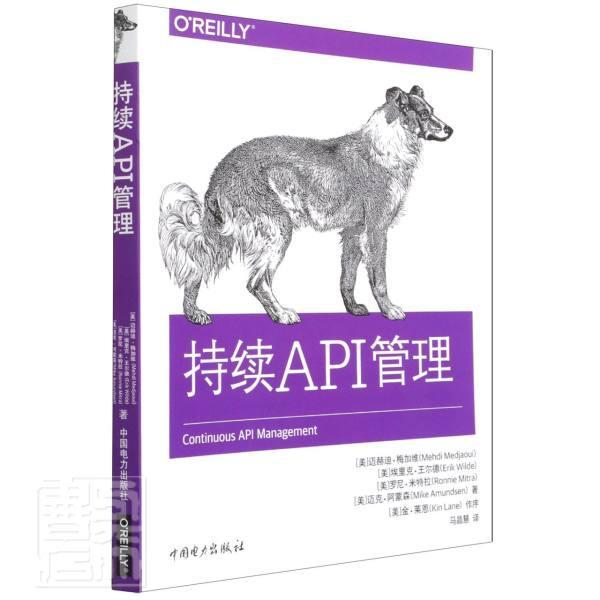 持续API管理 迈赫迪·梅加维程序设计计算机与网络书籍正版中国电力出版社图片