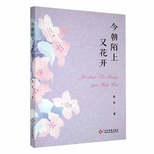 正版包邮 今朝陌上又花开张岚作者对生活城市的观察对工作的思考对时事的看法文化发展出版社书籍