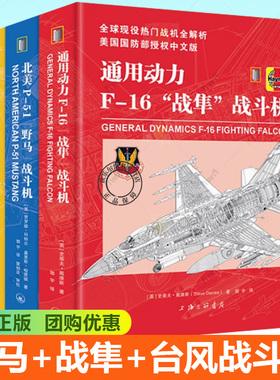 北美P-51“野马”战斗机 通用动力F-16“战隼”战斗机 英国皇家空军“台风”多用途战斗机战斗机空战雄猫大黄蜂舰载战斗机F14F18
