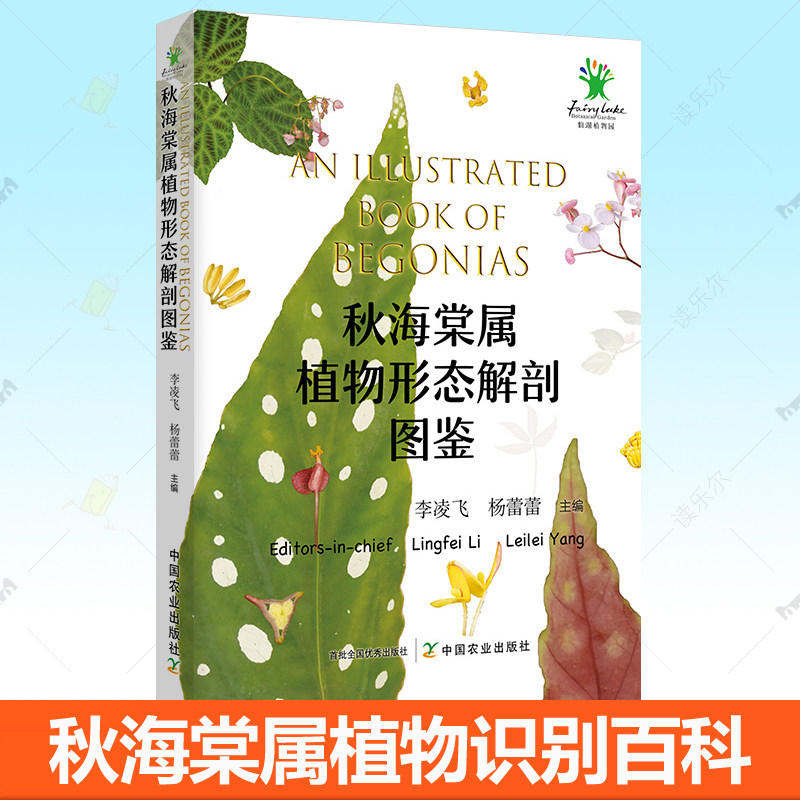秋海棠属植物形态解剖图鉴 95种秋海棠属原生种类32个栽培品种 秋海棠属植物识别基本知识鉴赏保护栽培开发 植物学园艺学专业书籍