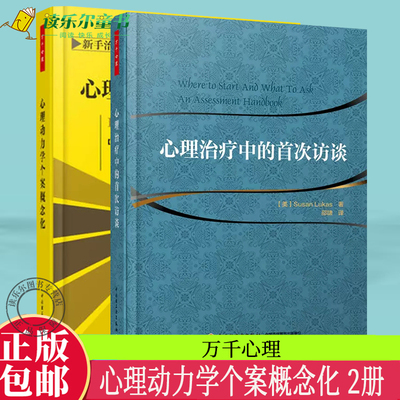 心理动力学个案概念化