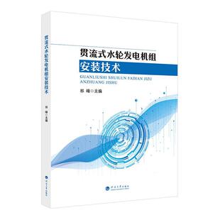 贯流式水轮发电机组安装技术 祁峰 工业技术书籍河海大学出版社
