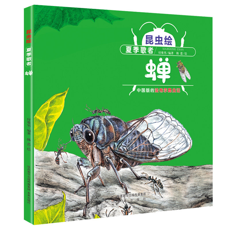 正版 昆虫绘:夏季歌者—蝉精装绘本幼儿3-4-5-6岁知了大百科科普全书昆虫绘手绘本儿童图画书绘画漫画连环画彩图小学生一二年级