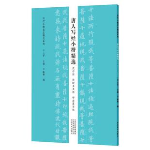 唐人写经小楷:兜沙经 经 妙法莲华经 云 艺术书籍河南社