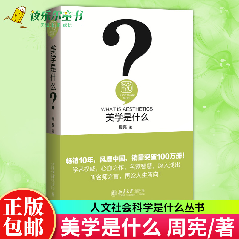 正版包邮 美学是什么:人文社会科学是什么丛书 周宪 著 审美活动的真谛 美学风景不同侧面 北京大学出版社 美的学问