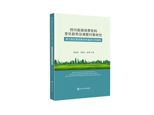 基于建设美丽繁荣和谐 张淑英 社书籍 包邮 畅销书 四川大学出版 四川省能源消费结构变化趋势及调整对策研究 工业经济 正版 书店