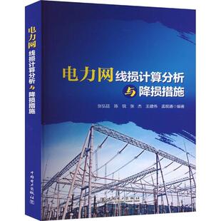 电力网线损计算分析与降损措施 电力网线损理论计算线损分析降低电力网线损管理措施分析软件就地平衡降损法教程书籍