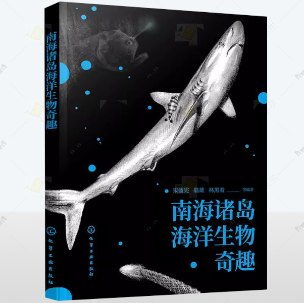 南海诸岛海洋生物奇趣 宋盛宪 南海珊湖礁鱼类贝类棘皮动物爬行动物海洋动植物科普书籍 中小学生课外读物海洋生物百科普类书籍