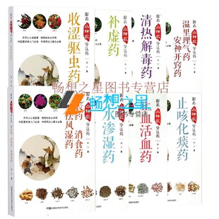 解表药消食药祛风湿药 化痰药 收涩驱虫药 谢宇著 社 正邮 中医生活药学书籍湖南科学技术出版 跟着小神农学认丛书系列8册