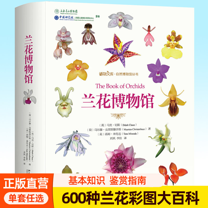 兰花博物馆 600种兰花高清原色彩图原产地类别位置保护现状花期 兰花种植收藏鉴赏爱好者工具书养花青少年科普百科大全兰花书籍