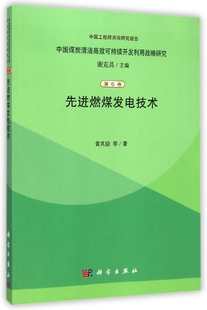 中国煤炭清洁可持续开发利用战略研究 燃煤发电技术 工业技术 电工电气 书籍