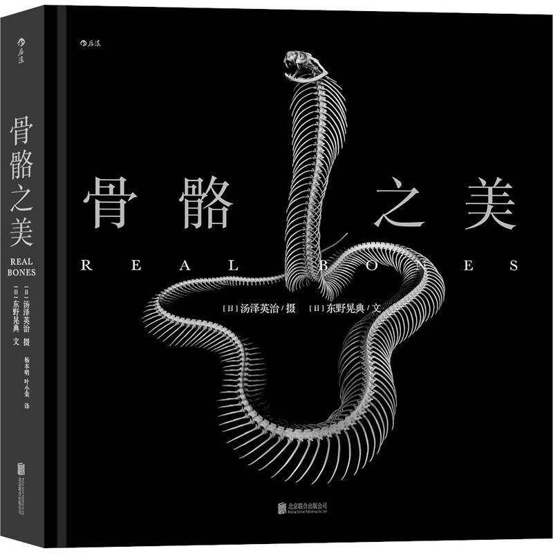 骨骼之美 东野晃典文 摄影集日本现代骨骼摄影集普通大众自然科学书籍北京联合出版公司