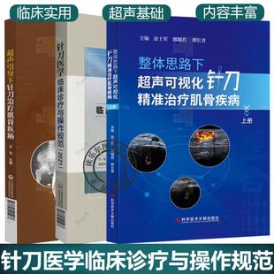 上册 整体思路下超声可视化针刀精准治疗肌骨疾病 针刀医学临床诊疗与操作针刀疗法医学书籍 超声引导下针刀治疗肌骨疾病 任选