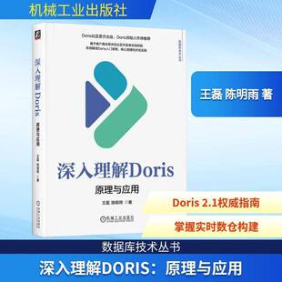 深入理解Doris:原理与应用 王磊 图书书籍正版机械工业出版社