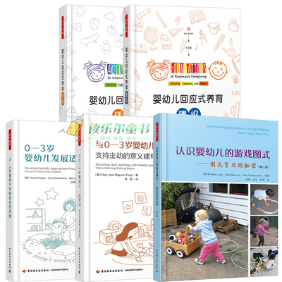 0-3岁婴幼儿发展适宜性实践+与0-3岁婴幼儿一起学习+婴幼儿回应式养育理论+养育活动+ 认识婴幼儿的游戏图式 图式背后的秘密第2
