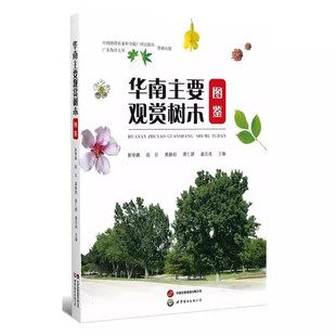 专业科技世界图书出版 华南主要观赏树木图鉴黄艳娜 书籍 黄静君种植业 公司9787523218464 陈石