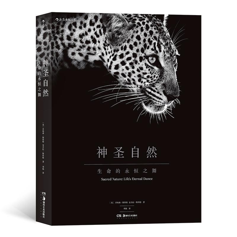 神圣自然 生命的永恒之舞 精装8开线装特种纸 100多幅塞伦盖蒂大草原生命之舞BBC纪录片大猫日记 非洲动物人像摄影集艺术图册书