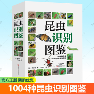昆虫识别图鉴 1004种昆虫1600多张高清照片自然百科知识读物全书科普婆罗洲异虫志任选韩永植动物昆虫图鉴识别辨认入门儿童书籍